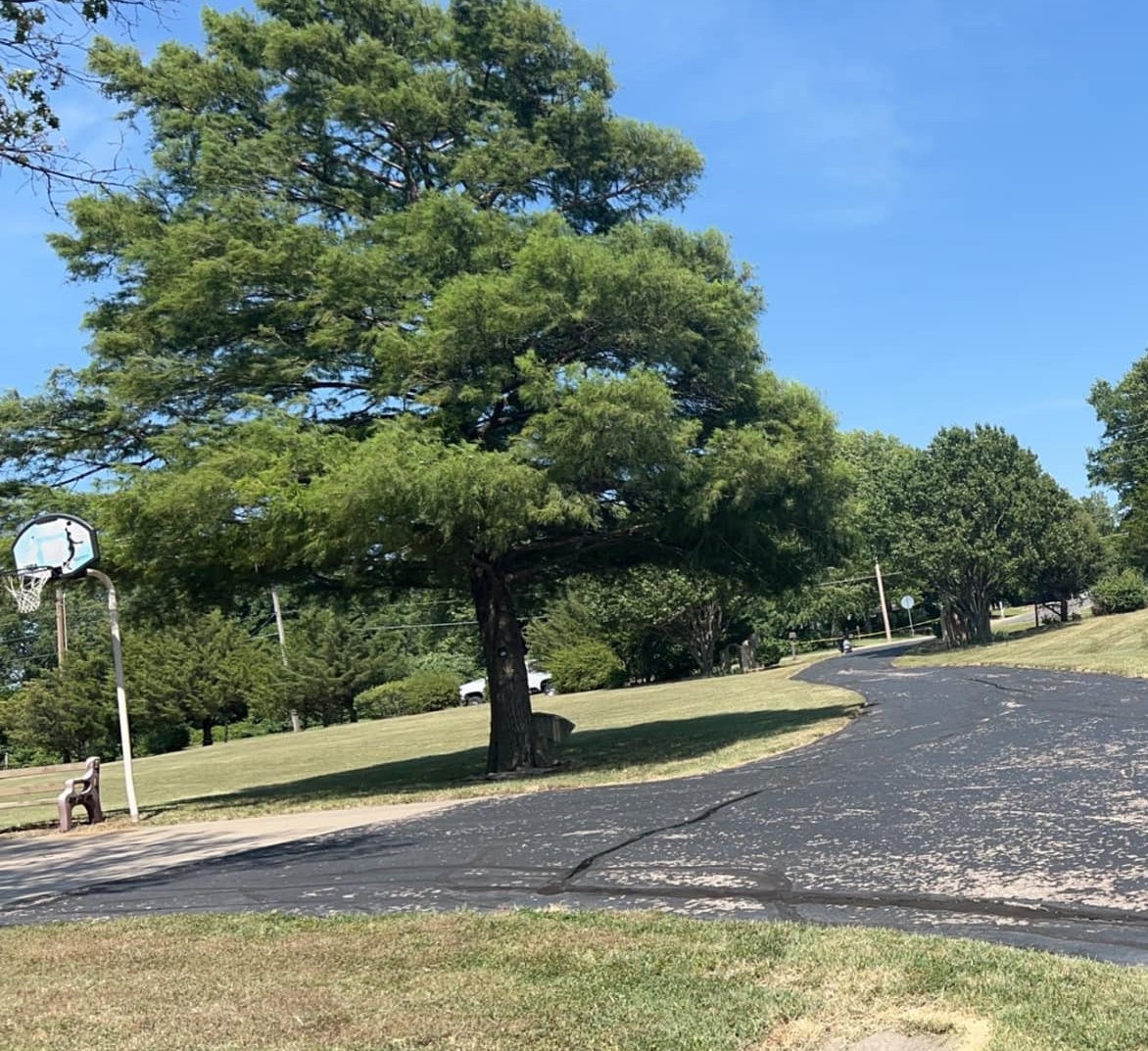 Damaged asphalt driveway